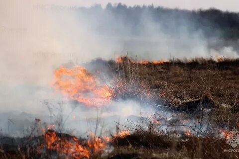 «Огненный сезон» на землях сельскохозяйственного назначения.