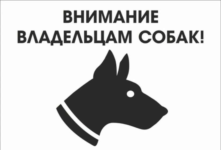 Уважаемые жители п. Пестяки! Убедительная просьба держать своих собак на привязи!. Уважаемые жители п. Пестяки! Убедительная просьба держать своих собак на привязи!.